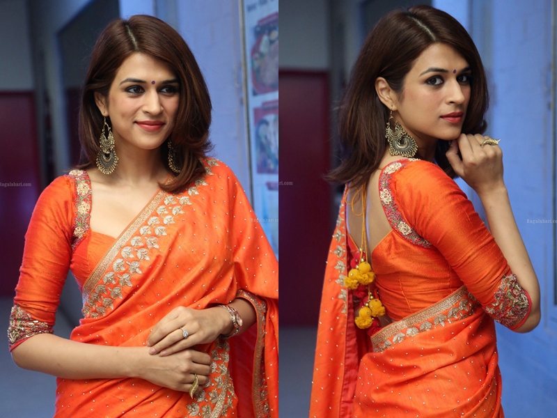 Orange Saree with Orange Blouse